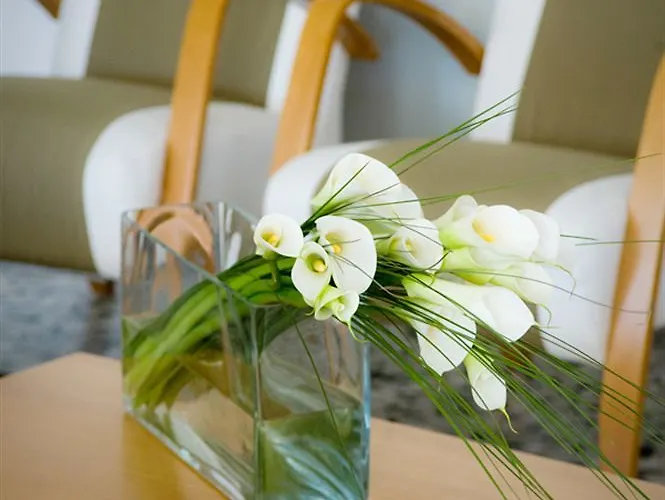 Colonna 3* Lido di Jesolo